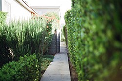 Garden space