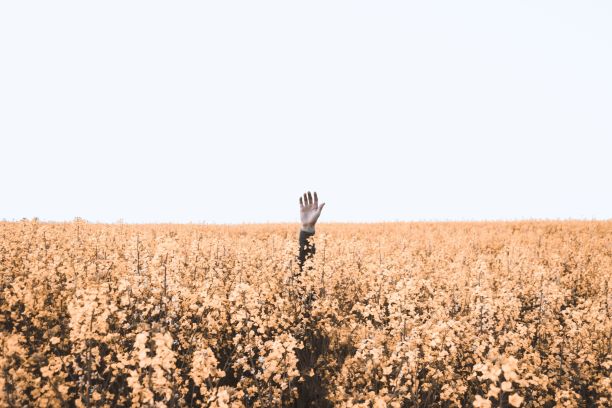 Hand up 2