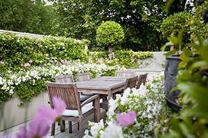 Newletter Garden